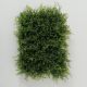 lush-green-faux-living-wall-plant-panel-display